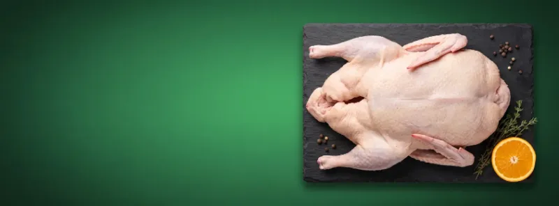 Duck