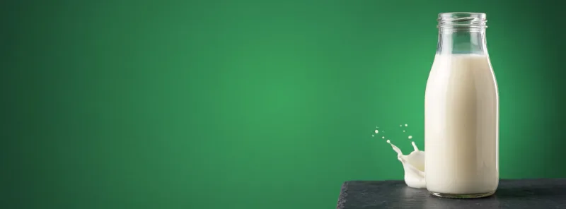 Milk