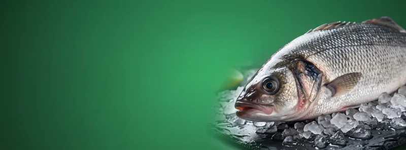 Fresh Fish