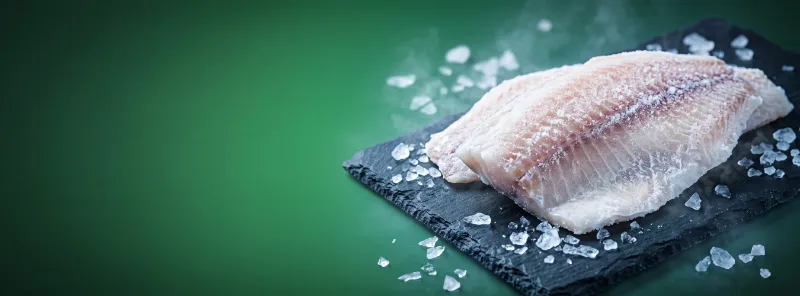 Frozen Fish